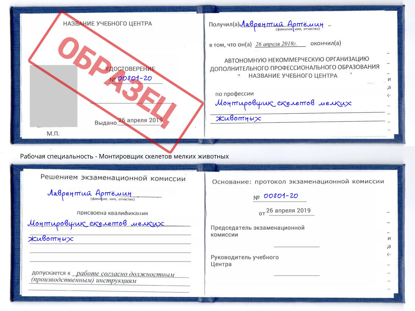 Монтировщик скелетов мелких животных Орск