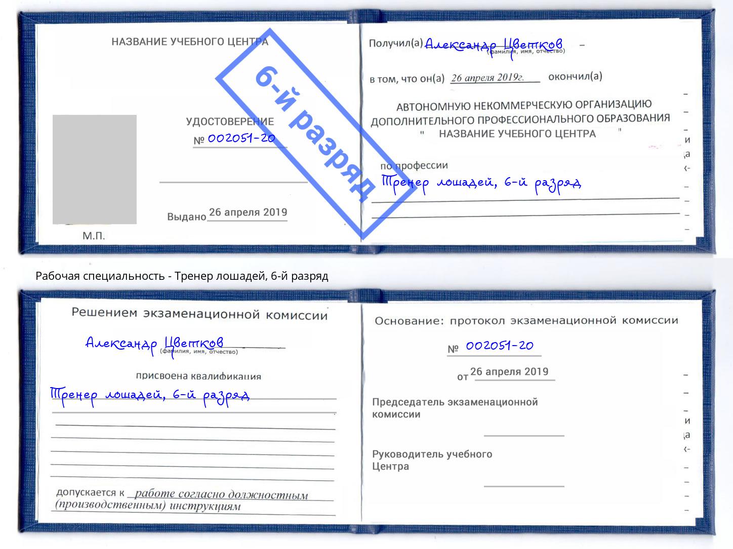 корочка 6-й разряд Тренер лошадей Орск